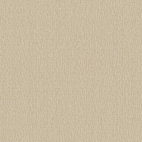 Andrea Rossi Barbana 54285-6