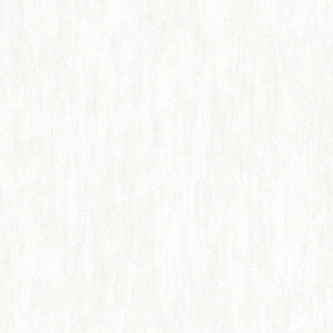 Andrea Rossi Barbana 54289-1