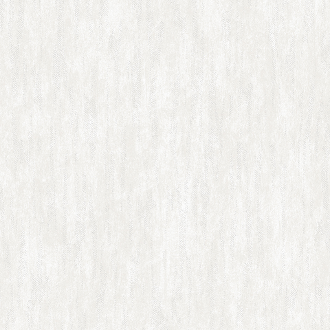 Andrea Rossi Barbana 54289-2