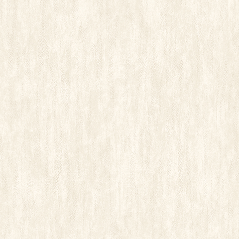 Andrea Rossi Barbana 54289-3