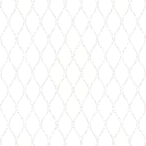 Andrea Rossi Barbana 54293-1