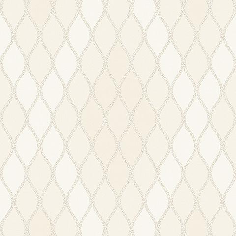 Andrea Rossi Barbana 54293-2