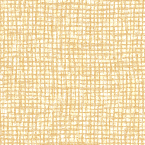 Andrea Rossi Barbana 54294-4