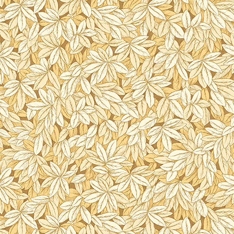 Andrea Rossi Barbana 54295-3