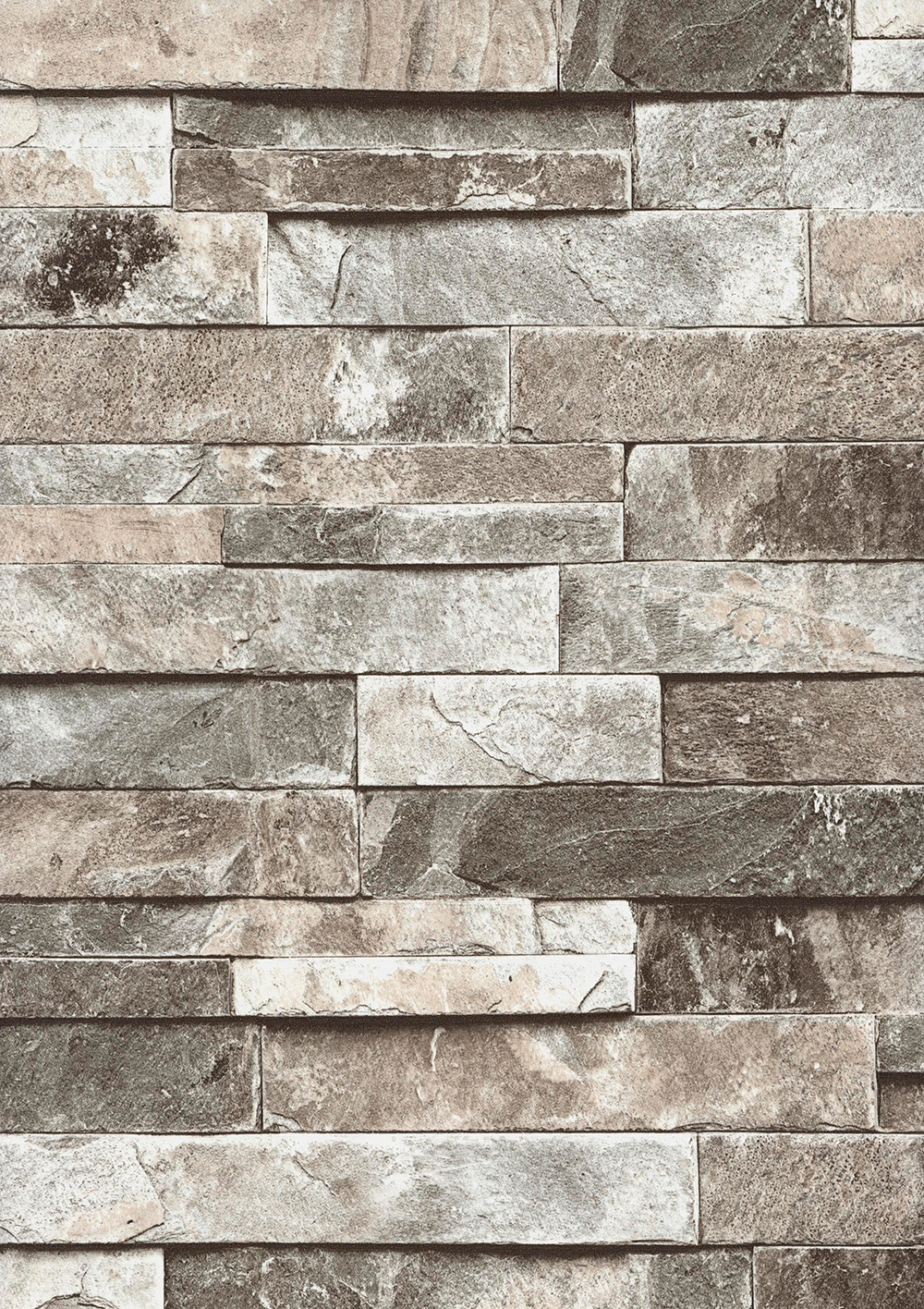 Andrea Rossi Pianosa 54164-1