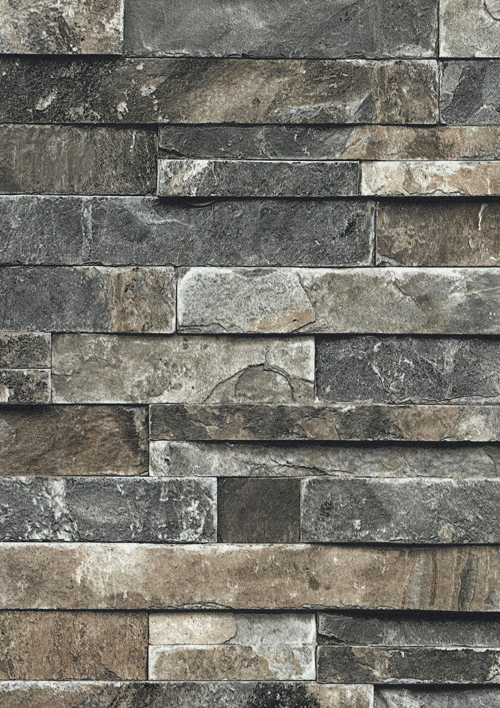 Andrea Rossi Pianosa 54164-2