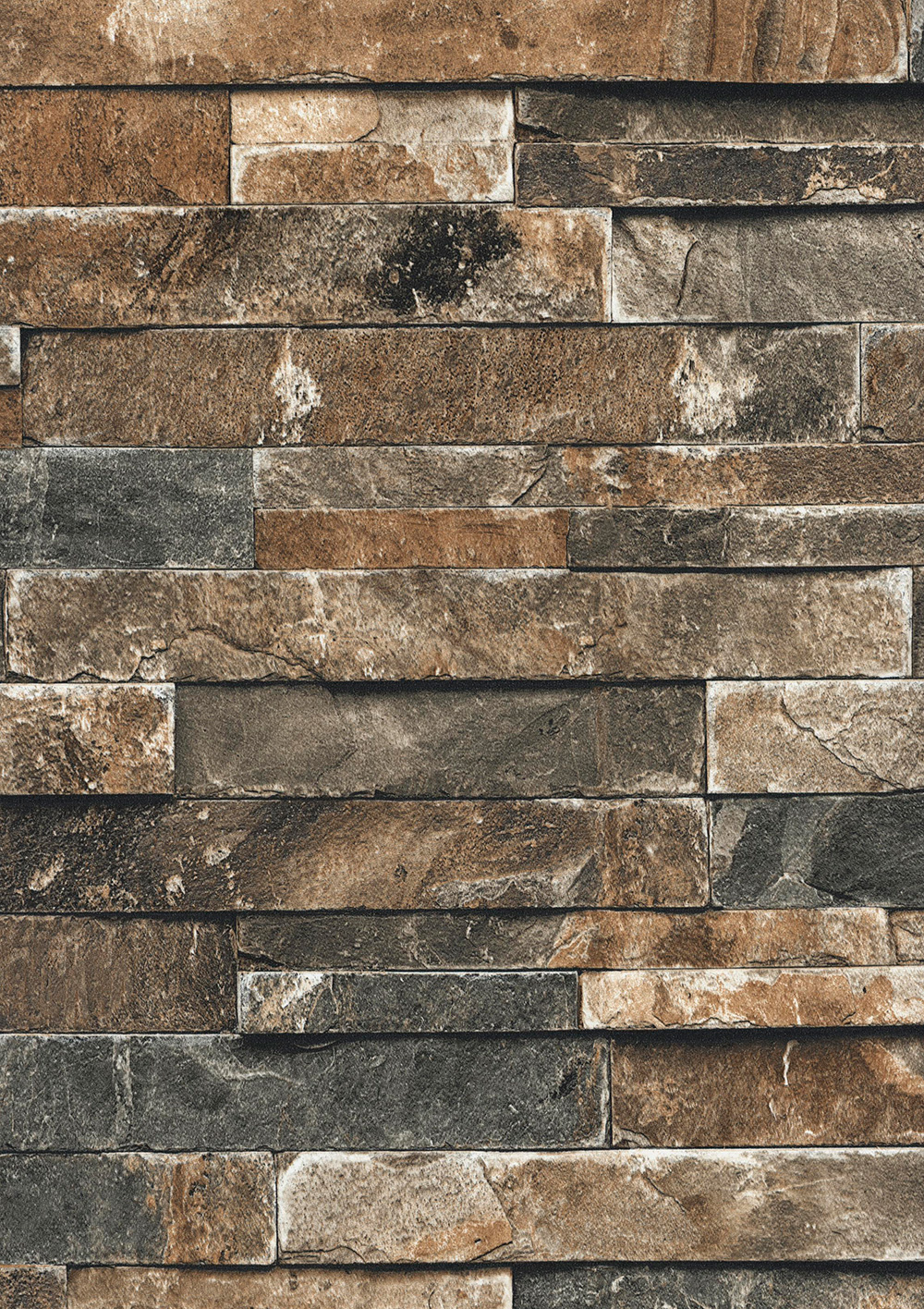 Andrea Rossi Pianosa 54164-3