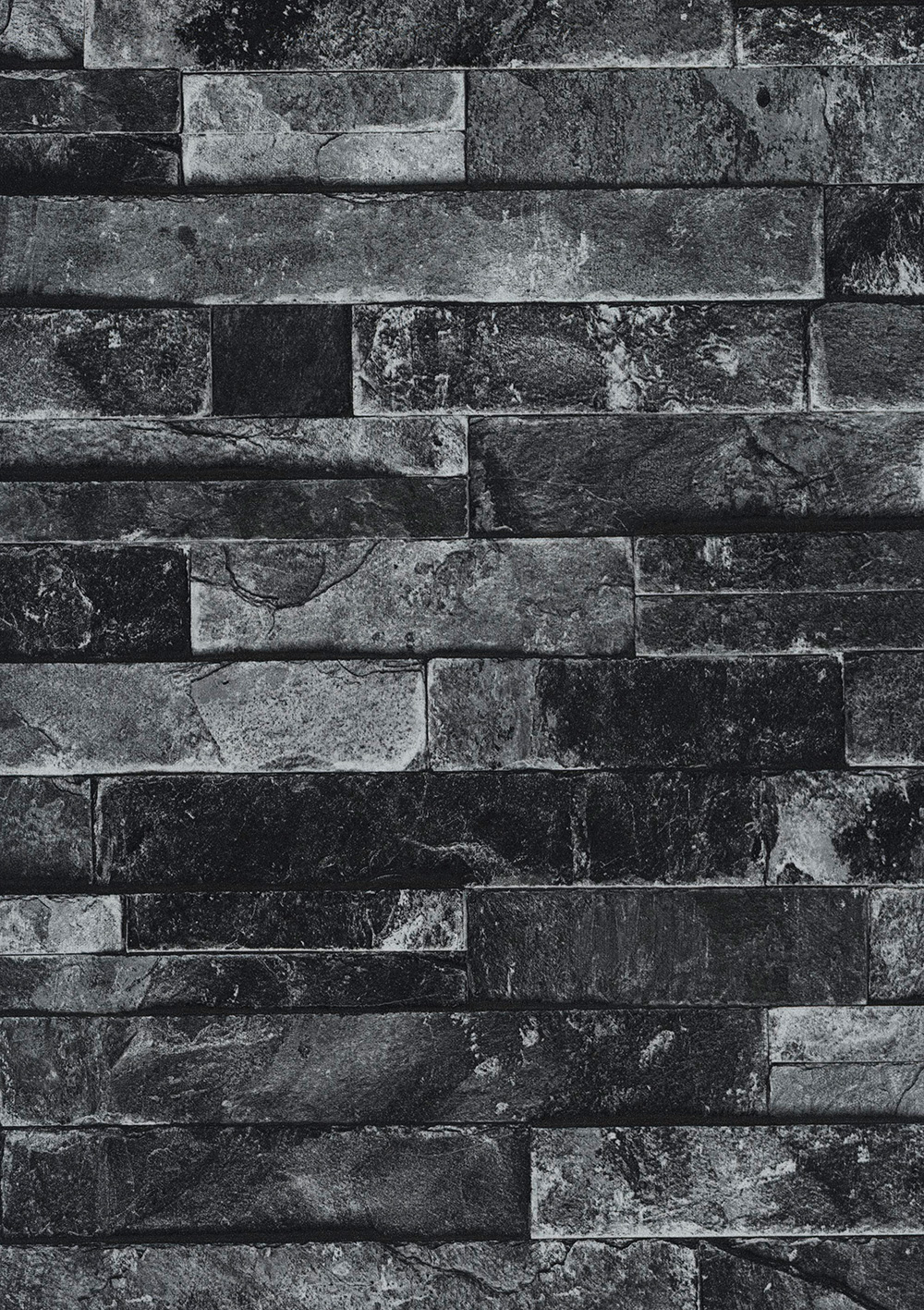 Andrea Rossi Pianosa 54164-5