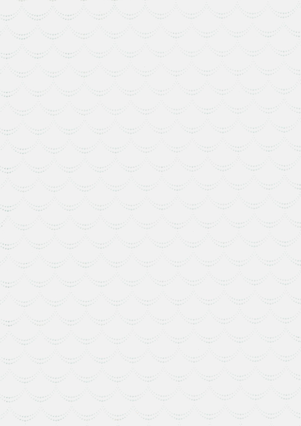 Andrea Rossi Pianosa 54165-1