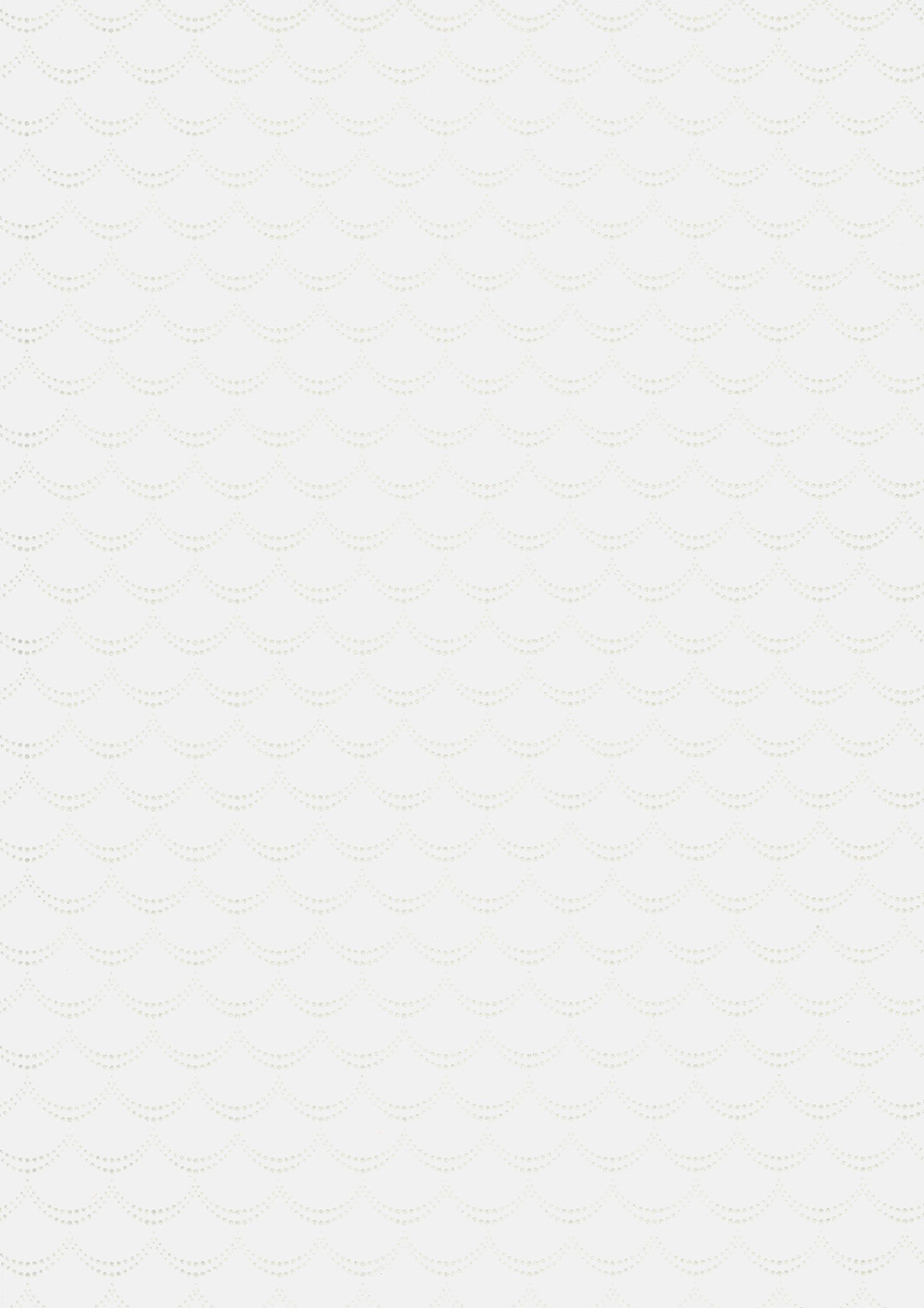 Andrea Rossi Pianosa 54165-2