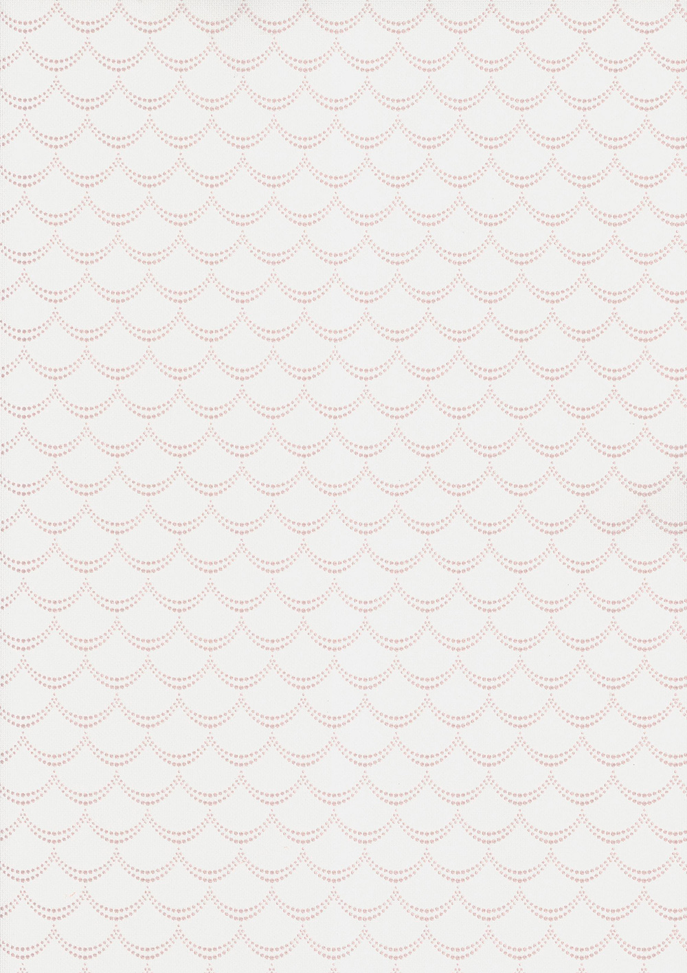 Andrea Rossi Pianosa 54165-3