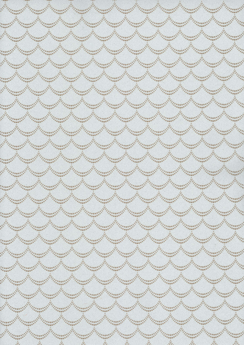 Andrea Rossi Pianosa 54165-4