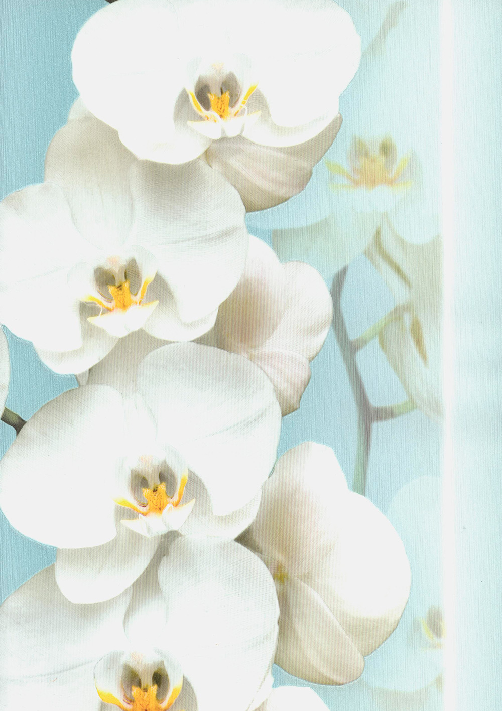 Andrea Rossi Pianosa 54169-7