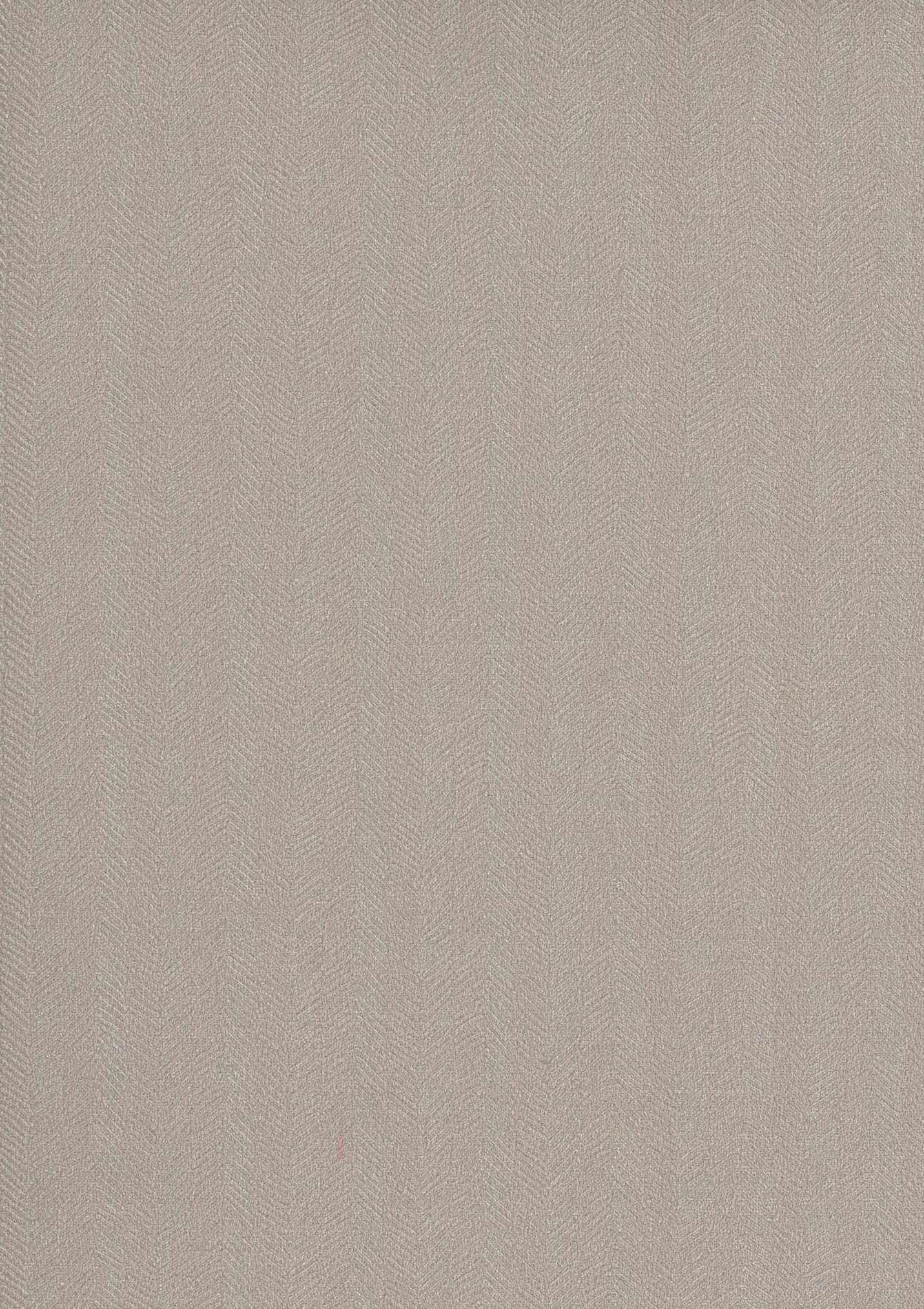 Andrea Rossi Pianosa 54170-5