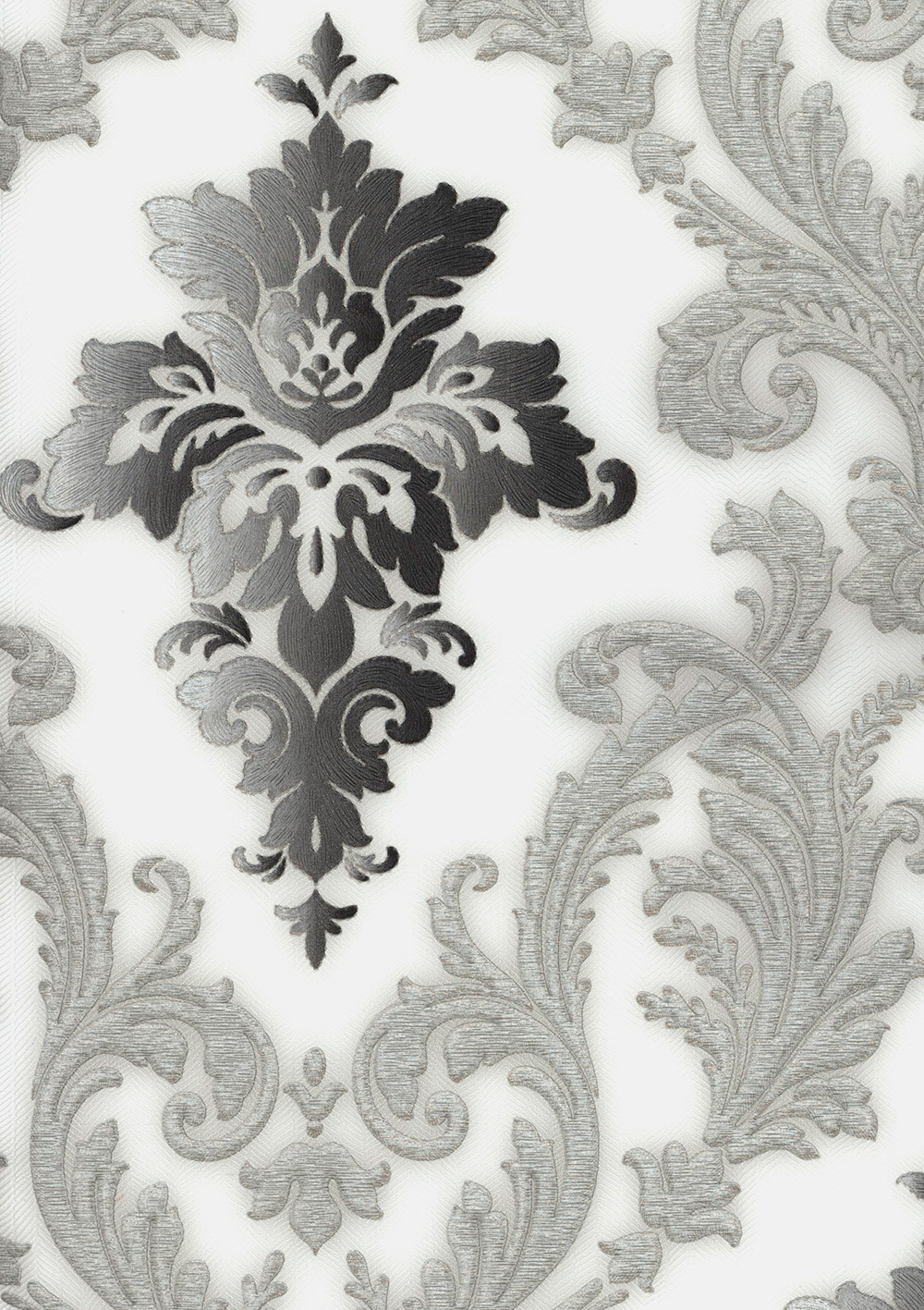 Andrea Rossi Pianosa 54172-3