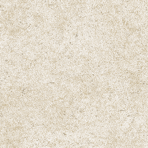 Andrea Rossi Arlequin 54298-8