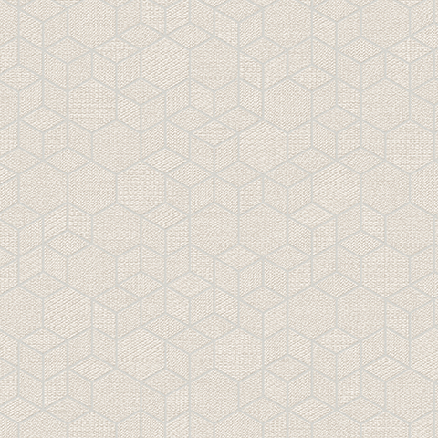 Andrea Rossi Arlequin 54302-3