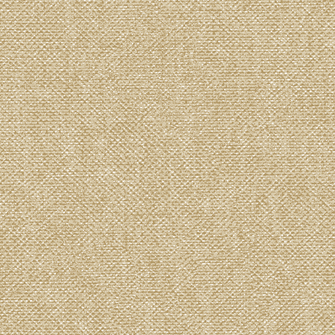 Andrea Rossi Arlequin 54303-5