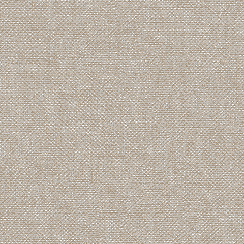 Andrea Rossi Arlequin 54303-6