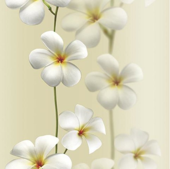 Andrea Rossi Vulcano 54118-2