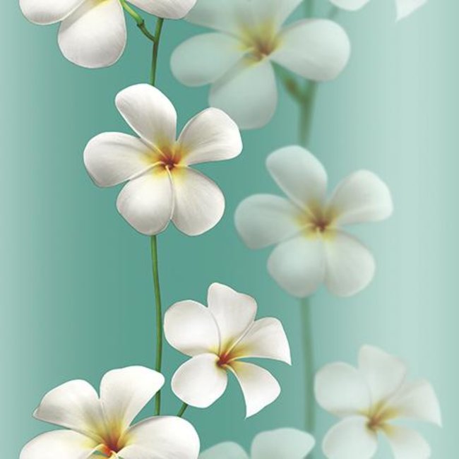 Andrea Rossi Vulcano 54118-8