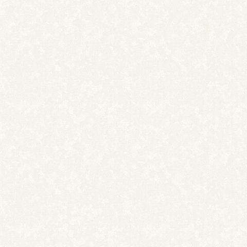 Andrea Rossi Vulcano 54112-2