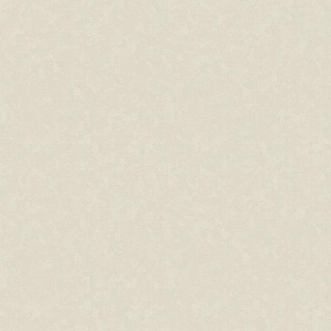 Andrea Rossi Vulcano 54112-3