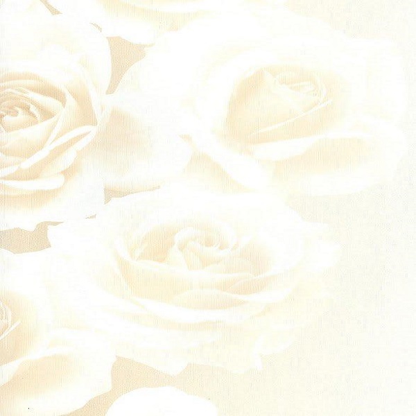 Andrea Rossi Domino 54125-1