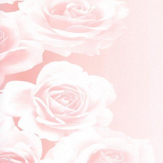 Andrea Rossi Domino 54125-4