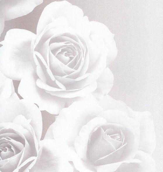 Andrea Rossi Domino 54125-5