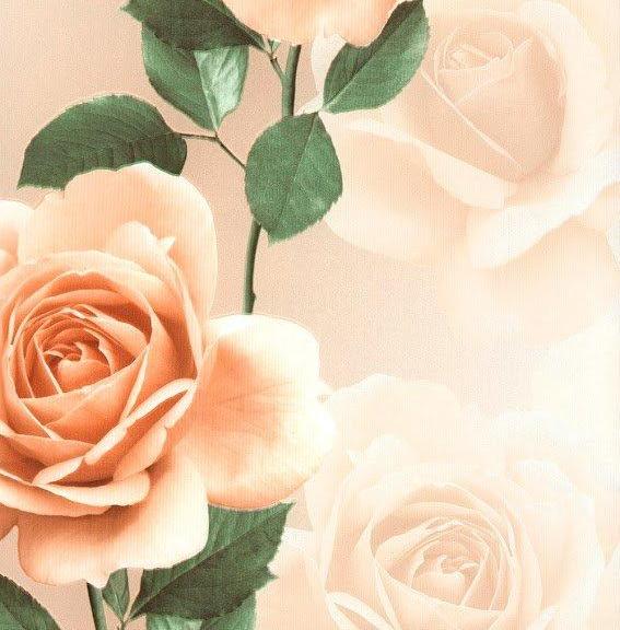 Andrea Rossi Domino 54126-2