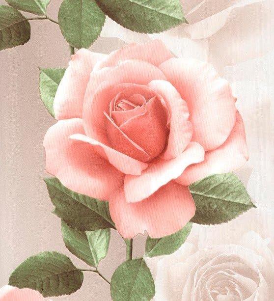 Andrea Rossi Domino 54126-3