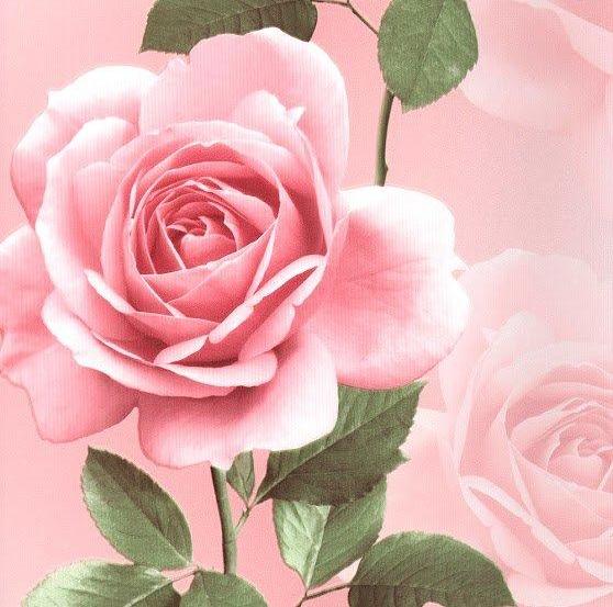 Andrea Rossi Domino 54126-4