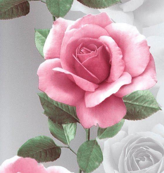 Andrea Rossi Domino 54126-5