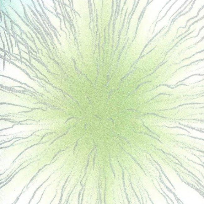 Andrea Rossi Domino 54132-2