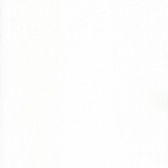 Andrea Rossi Gorgona 54133-1