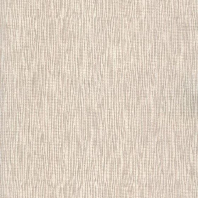 Andrea Rossi Gorgona 54133-5