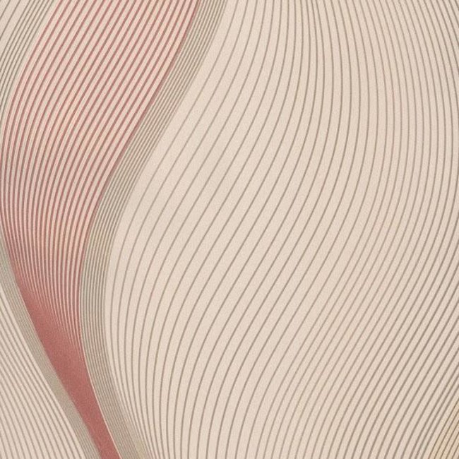 Andrea Rossi Gorgona 54134-6