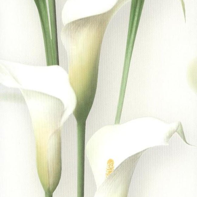 Andrea Rossi Gorgona 54139-1