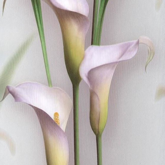 Andrea Rossi Gorgona 54139-9