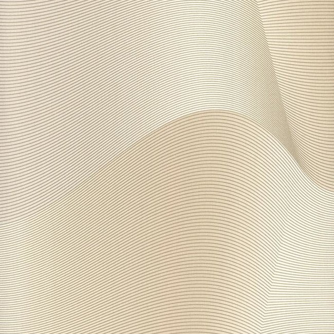 Andrea Rossi Grado 54143-5