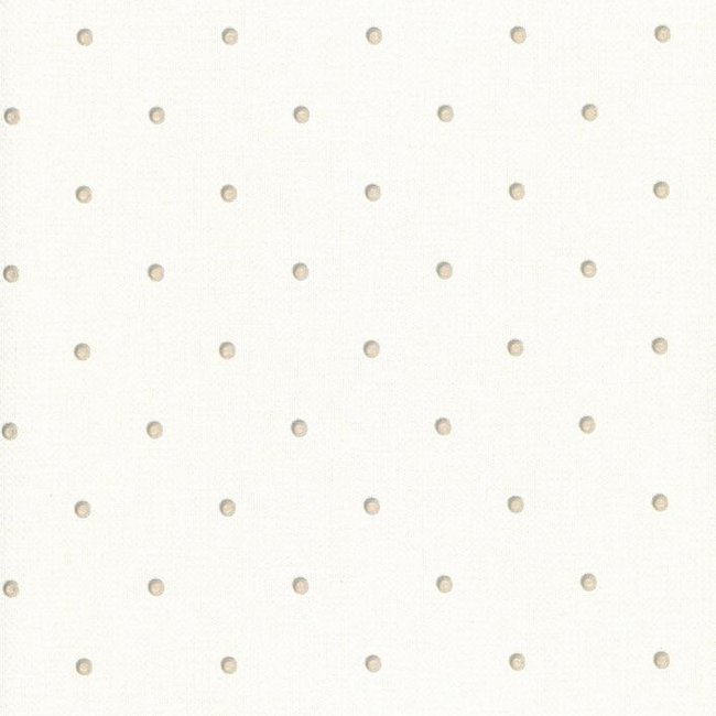 Andrea Rossi Grado 54144-4