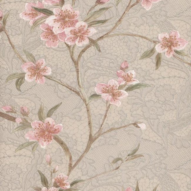 Quarta Parete Barossa ZS16337