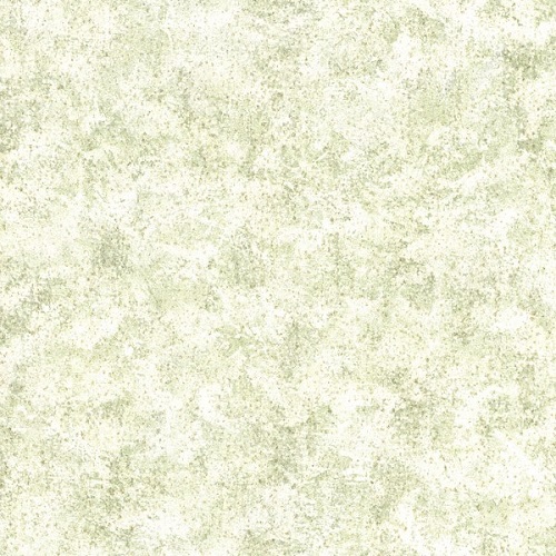 Dorena_Marchesa_R1604