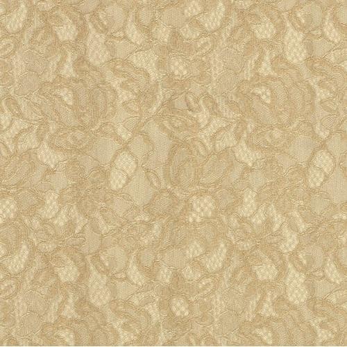 Fipar Favorita R1926